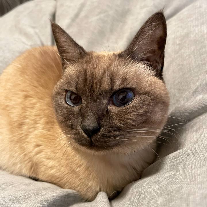 Ea80dfde c0bd 4b65 83a1 ac3679b90c2c 1769422718748