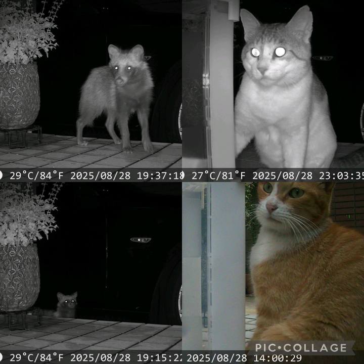 Ea80e02c 7451 45b3 951e ca3d24a00869 1756392188227