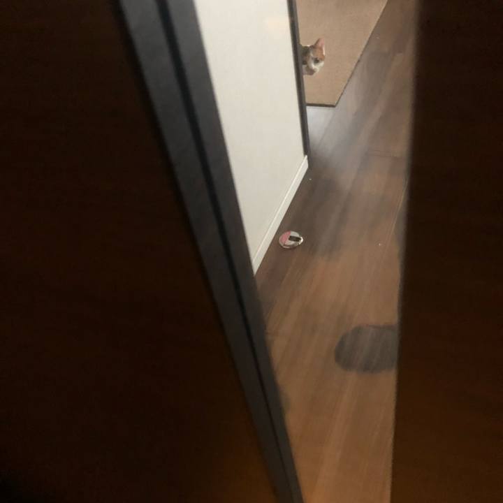 Ea814c05 e50c 425d 92b7 250f7e5fc5e2 1576193754362