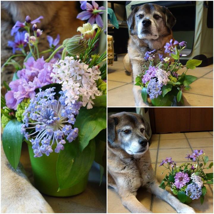 Ea817396 32bd 4bad 96ff 35a3d10270fe 1554622793894