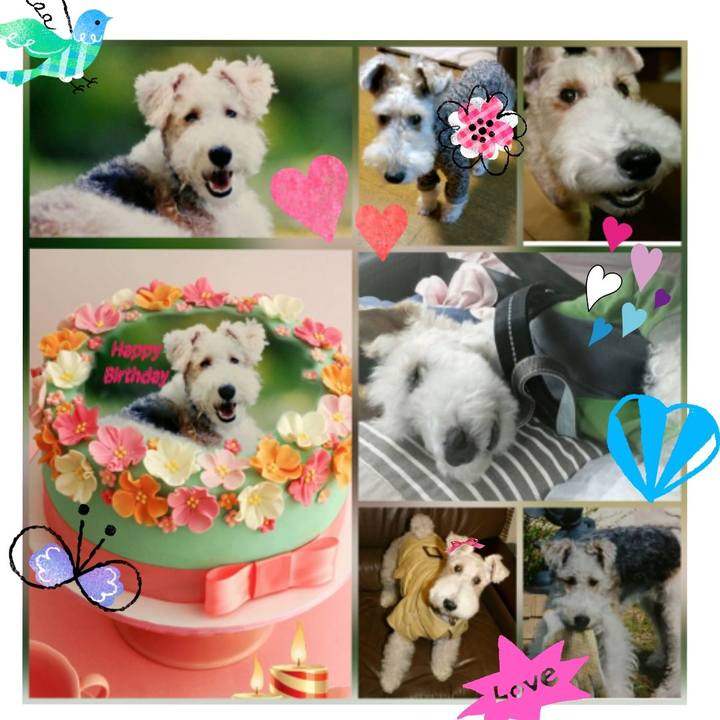 Ea819b6c a1ba 46b5 b719 32734d6bda6c 1527141526345