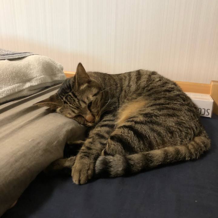 Ea81e616 2e51 4d2d a0de 06ad527f1bf7 1529957154644