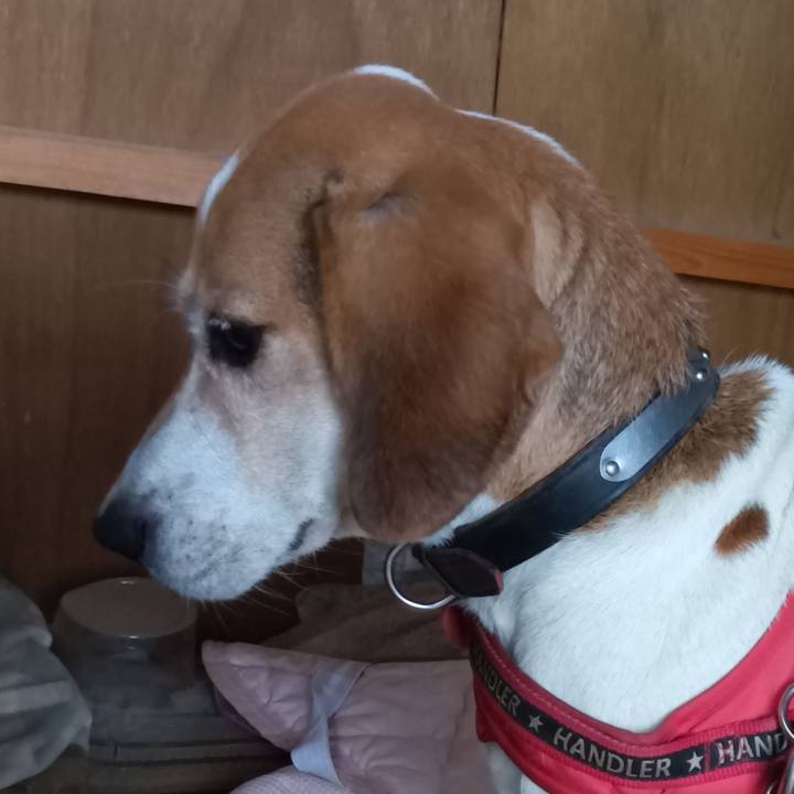 Ea82140d 91a7 4bdf 9090 a72a31634ff0 1730519423230