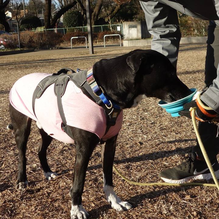 Ea821bab 6dc7 41fc 8f70 faddf595047d 1644368604738