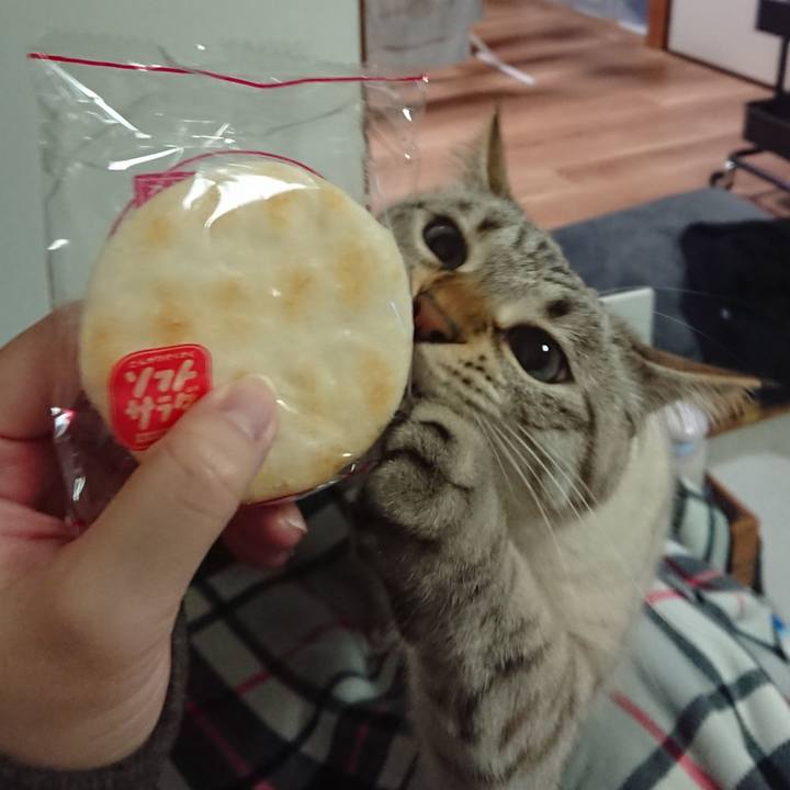 Ea823989 2ced 4664 a0c2 63d0ea841104 1580647423454