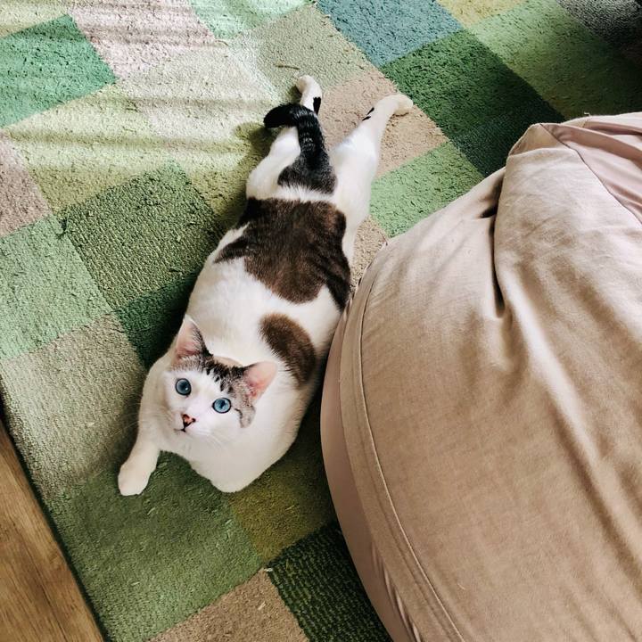 Ea8291bd 00c3 46dd a581 4b8bb63e73f4 1644718239782