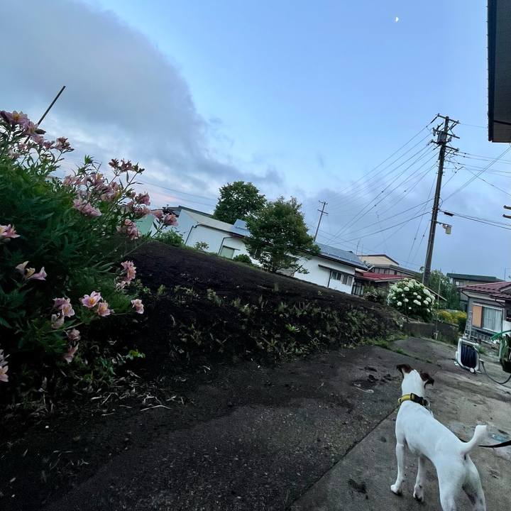 Ea82a75c 8cdc 45e4 bf2d 3ff9bbb1948e 1657189469212