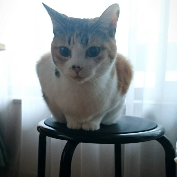 Ea831b57 f31c 4323 a370 f10312ecd56a 1556663203024