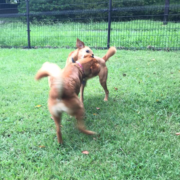 Ea8348ee 2741 4b89 a4ef 89a77217f5c9 1535453923509