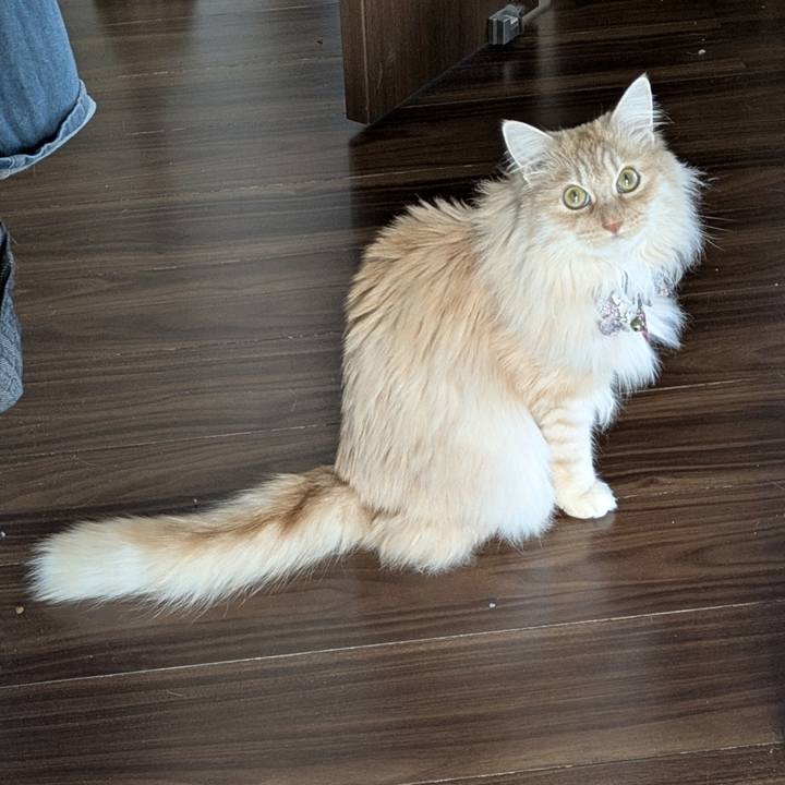 Ea835067 8af1 4de4 bb9d 4e3b2ccabf8f 1773717951069