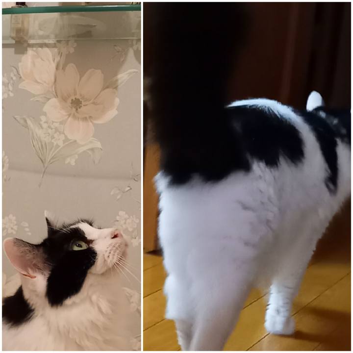 Ea835452 2edc 4a37 b076 d60b6682c76a 1632692057351