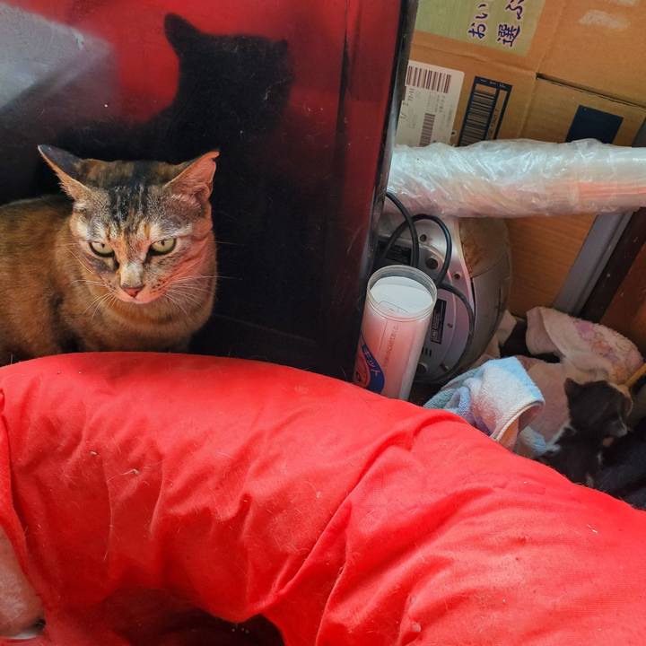 Ea8364b1 61e2 4e8c acab c8176802610f 1756127365013