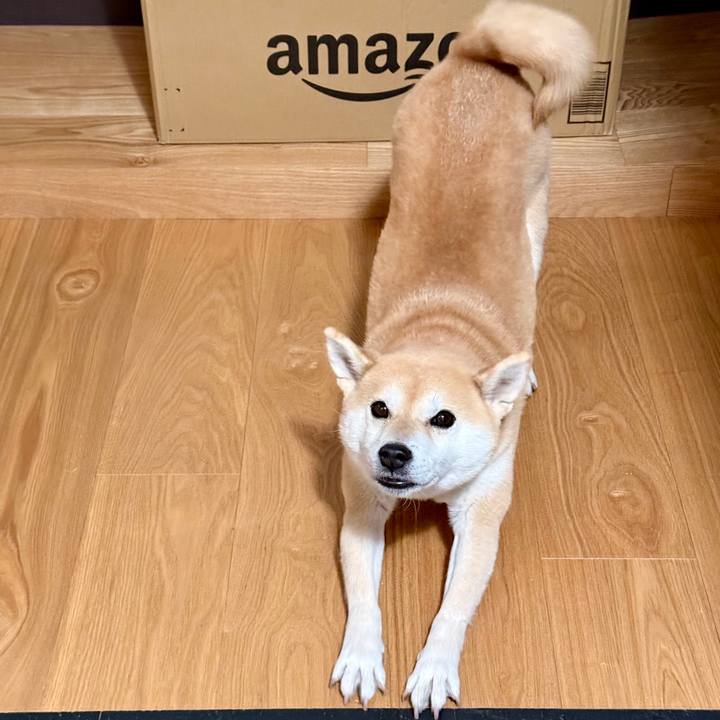 Ea83777d e5eb 45dc ae2f 75f519948a67 1766207384869