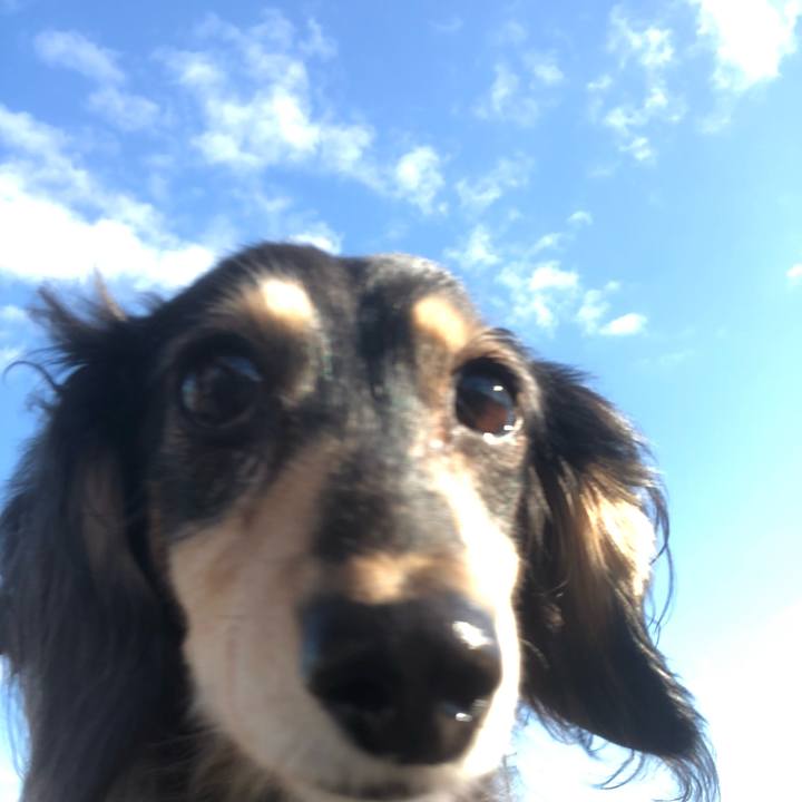 Ea837837 6da2 4cfc bed0 e01498ef5665 1579567638427