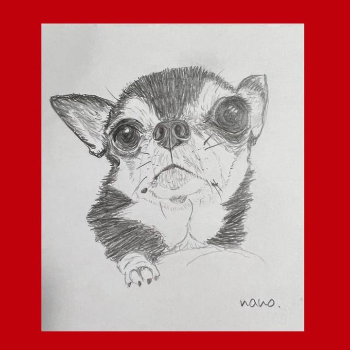 Ea838ad9 e13e 485a 96d1 6ce6792e2dea 1669496176917