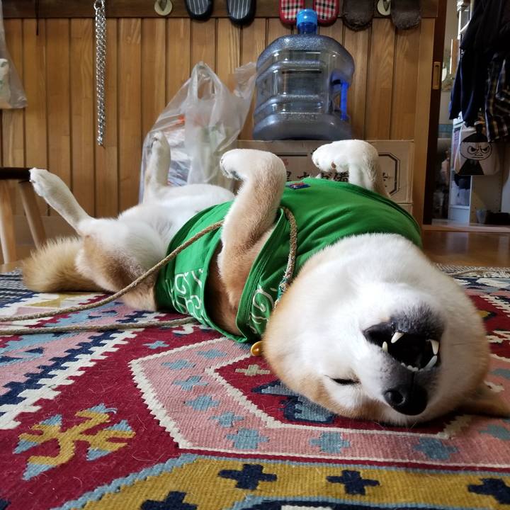 Ea839299 9be4 44de 8d18 c61ceae2f728 1586561368616