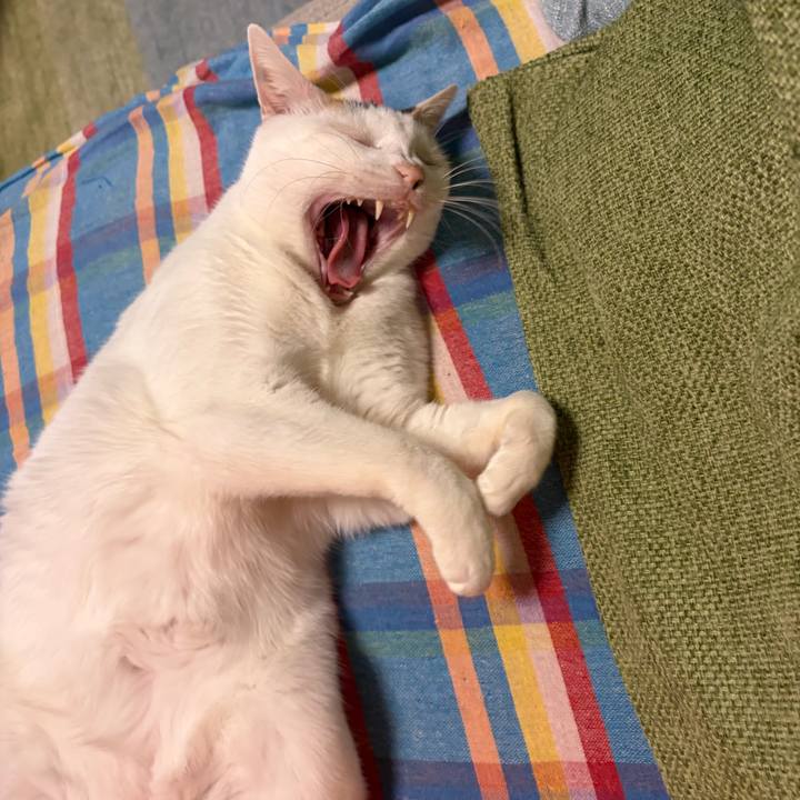 Ea83b869 da3b 40fa ae21 a7bb51c19e08 1768048268513