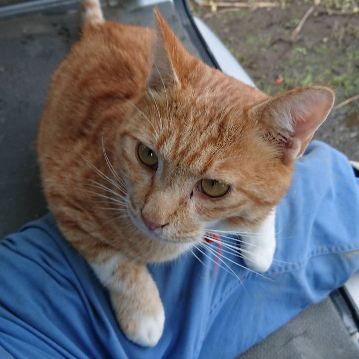 Ea83bd8d c4e5 4d65 ad3b 838cf9f5e796 1572158543043