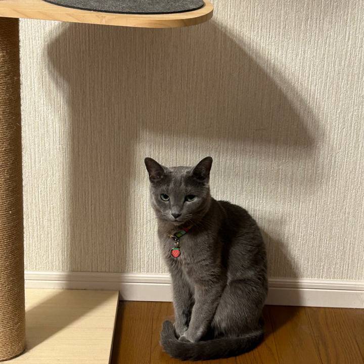 Ea83ce6e 9377 4bcf 852c ccae432766ae 1724110227977