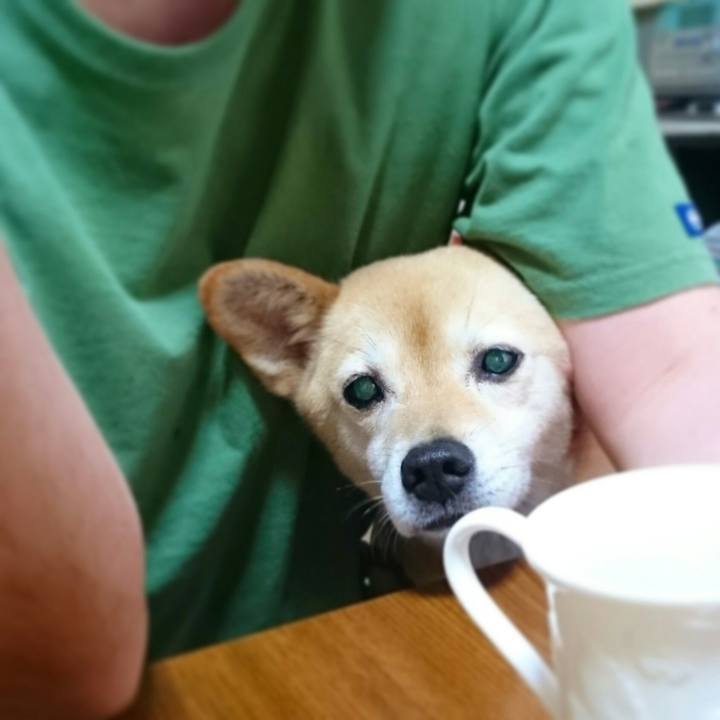 Ea842584 b922 456e 83e4 9a4f6b20e648 1550500074187