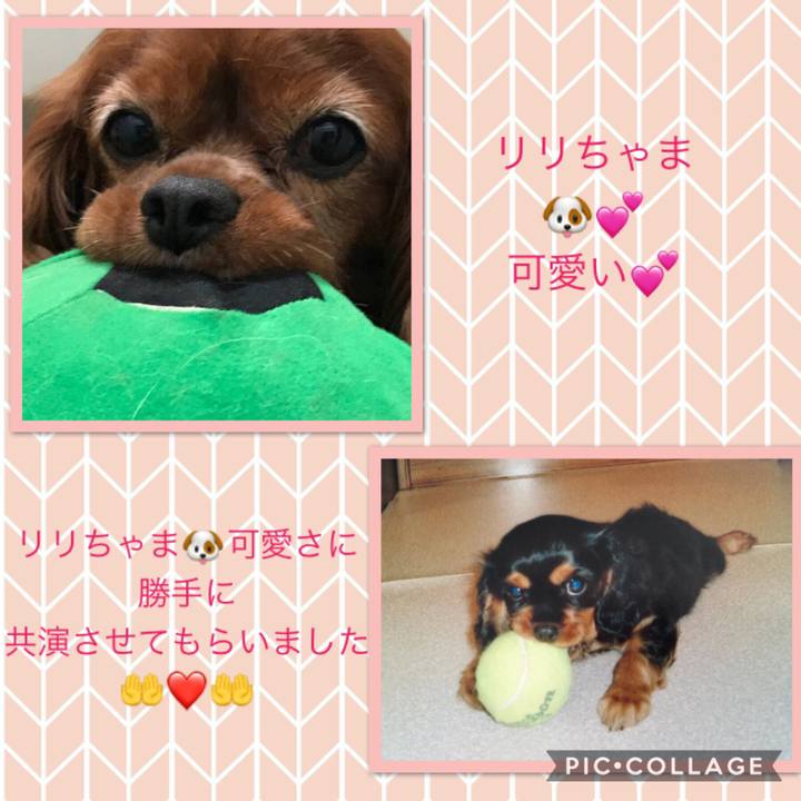 Ea8425de 89dd 4d2d ab96 8c1e8d875a48 1533798614971