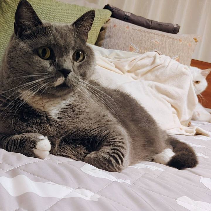 Ea843b18 5ce1 4e3f 851f 9a86da472430 1761142816459