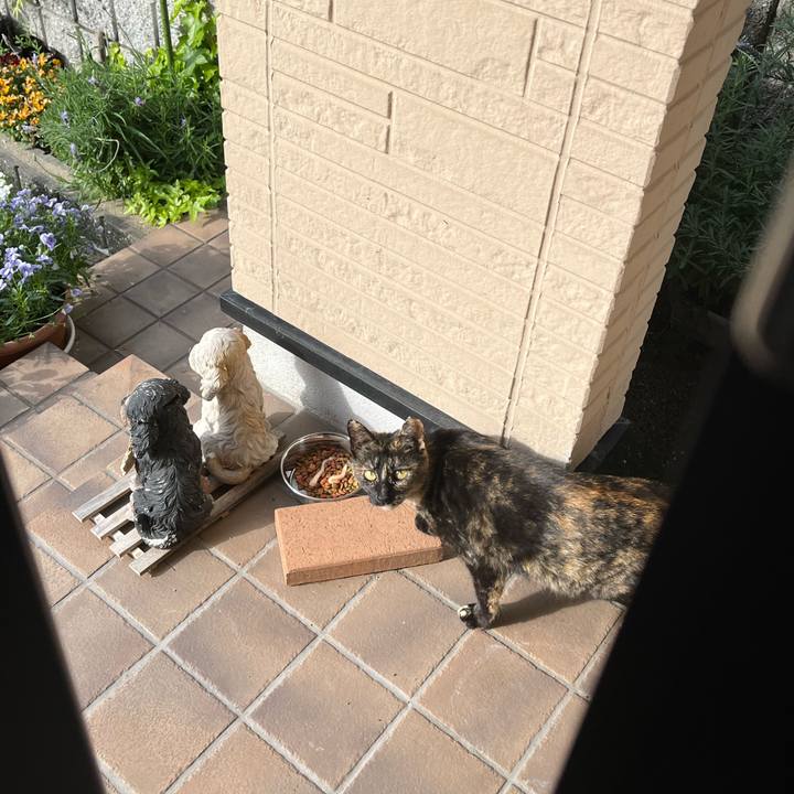 Ea848bab 7826 485f 9483 ded9d0534a2c 1682857334924