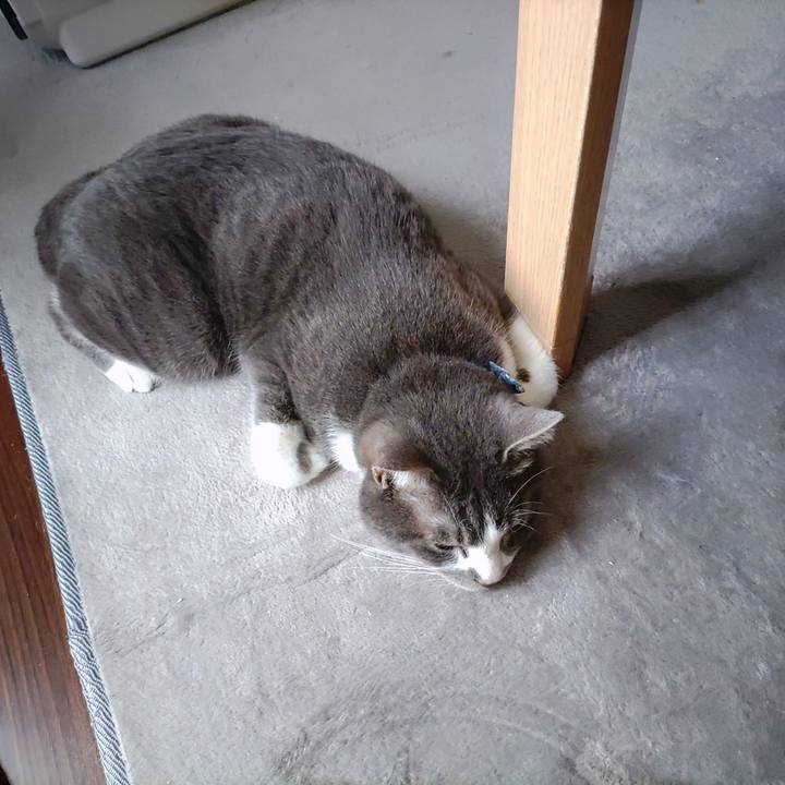 Ea848ebe d35b 465e 85b3 fb5a7e480504 1683018419527