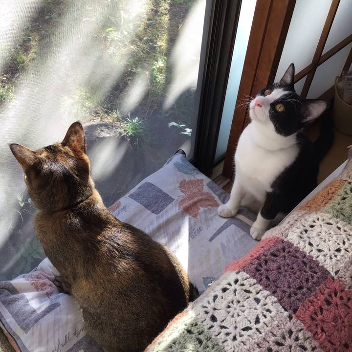 Ea84c2c8 6aac 4541 9d29 3ae15f30f91a 1634700538056