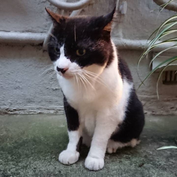 Ea852e8f c6c8 4282 9315 3a349729d4a3 1695725647171