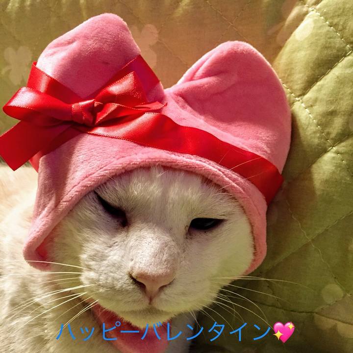 Ea854878 fc00 4d71 82bf 0f0ba372c38a 1550063099612