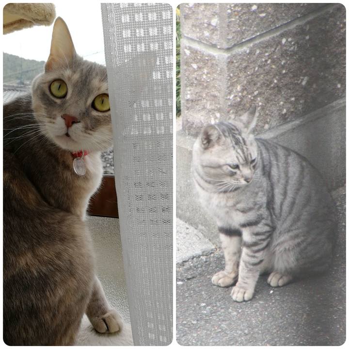 Ea85536d 7937 49a2 b718 b35134449c2a 1550844115028