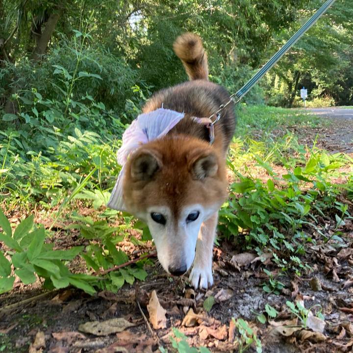 Ea855f5e 6389 4104 94db bf95ed743957 1756033957935