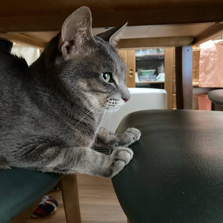 Ea8599a1 f477 4b53 947d 013c9168e29a 1644727932177