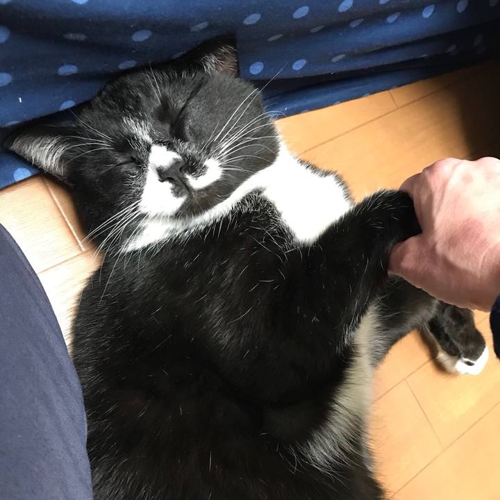 Ea85a17f c497 4736 814a 7e191d0bc098 1521258454619