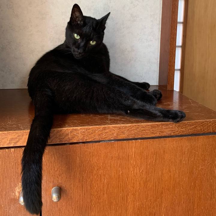 Ea85aa62 6d5f 4154 8b2b 725410542023 1597541417965