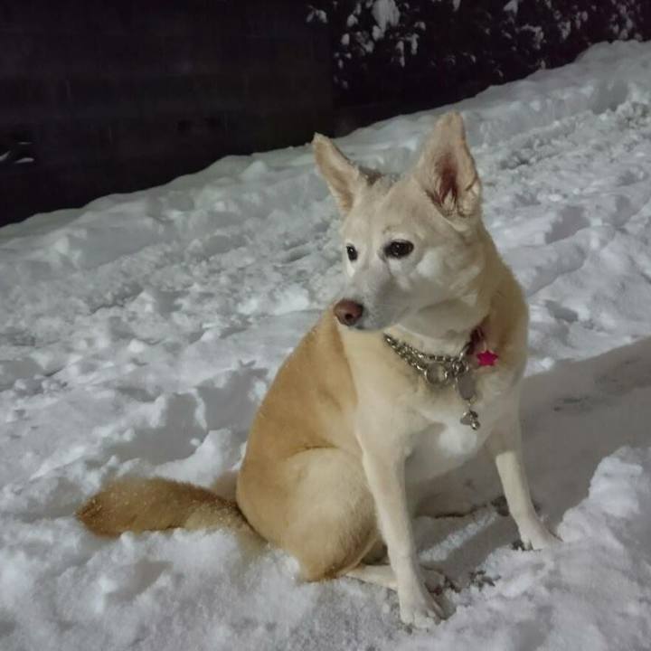 Ea85df72 e562 4adc be1f b12288ef1aa4 1517310970138