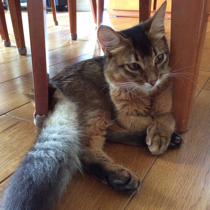 Ea85ef90 0239 4709 a2dd 1735af7e899a 1565561847512