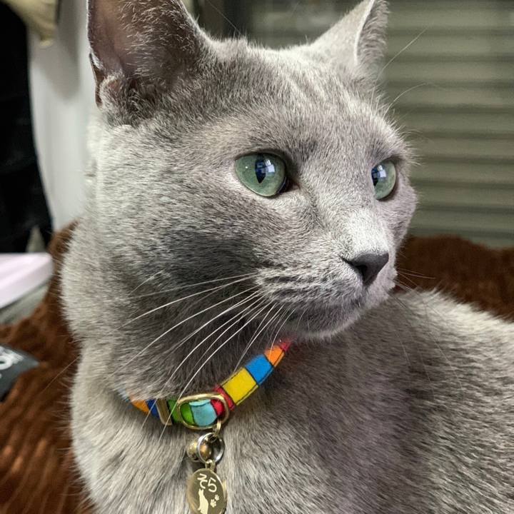 Ea85f867 30a6 45f5 8e32 aa0f14d2bbf3 1677114133959