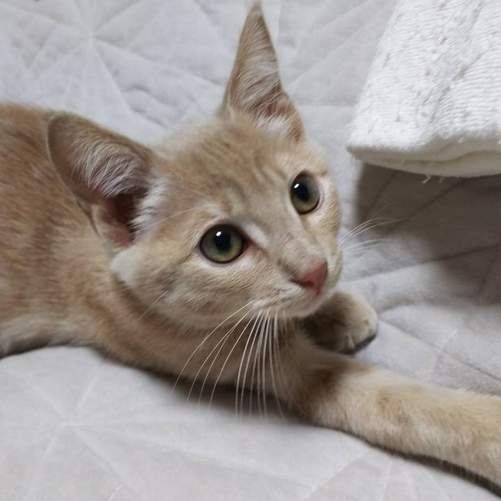 Ea8633ed 9ed7 457d 9856 b2bd5a661048 1541235673325