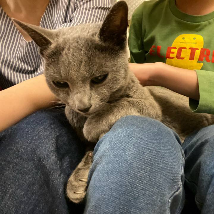 Ea864ca6 bc57 401e bcac 4bdac133803d 1589892626360