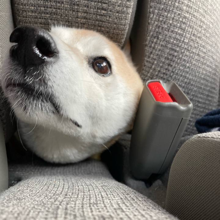 Ea86572e 8e78 4bbf 8a8b c98cbf91a81f 1635986782671