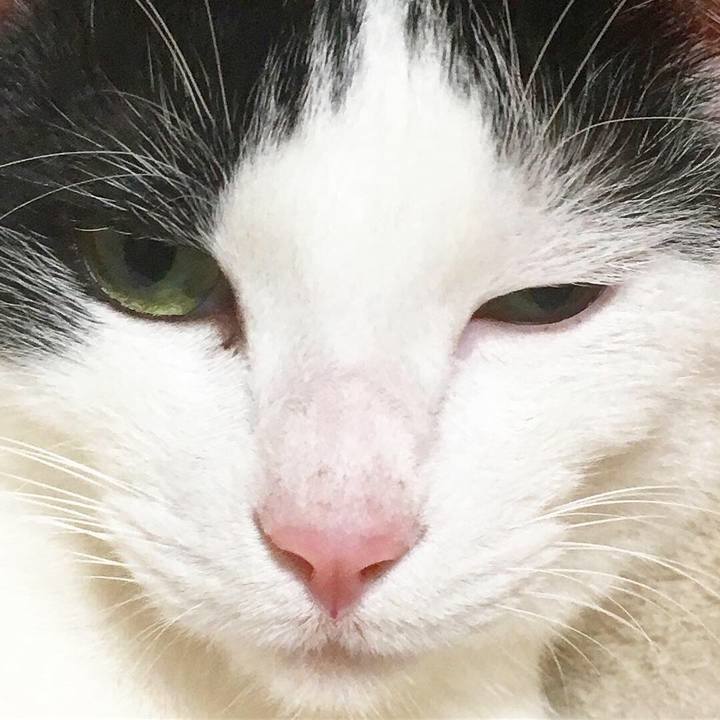 Ea868bc5 10cb 42cd 90b2 08806da4ca58 1546836245577