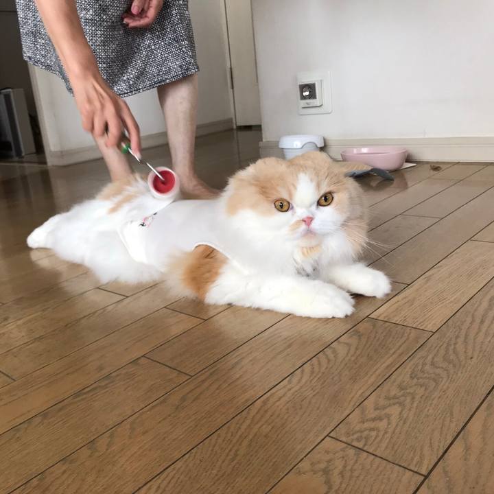 Ea86a41e 3abf 410c ada8 aa0749b9c1a8 1566723280604