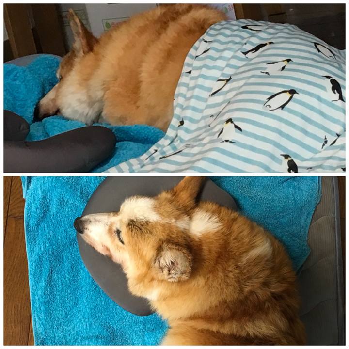 Ea86c632 37fd 41fd b147 6248dc6f8485 1562047687872