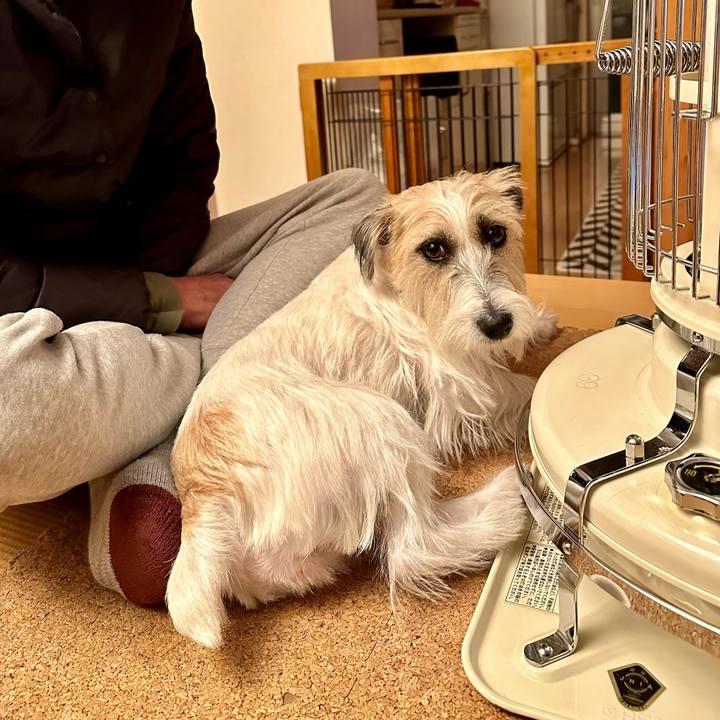 Ea8707b1 46a8 4112 b525 e11ba36f5652 1700991873129