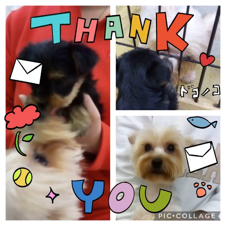 Ea8711c5 5e54 4435 94a7 db3b5d1867d3 1715489297680