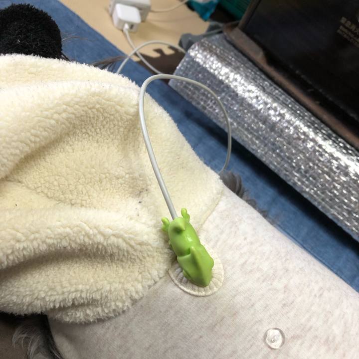 Ea8738d3 3e4a 4ab1 a79f 517d4283ad8b 1706324159251