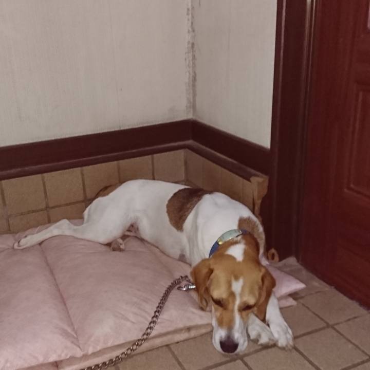 Ea875f4d dc3b 4493 8d0a 48e33b608fb0 1568259661841