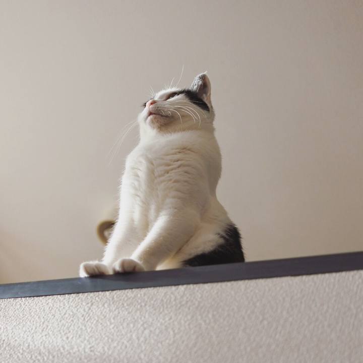 Ea878104 08b7 46f5 963e ef9cb2b4b0b8 1576680357533